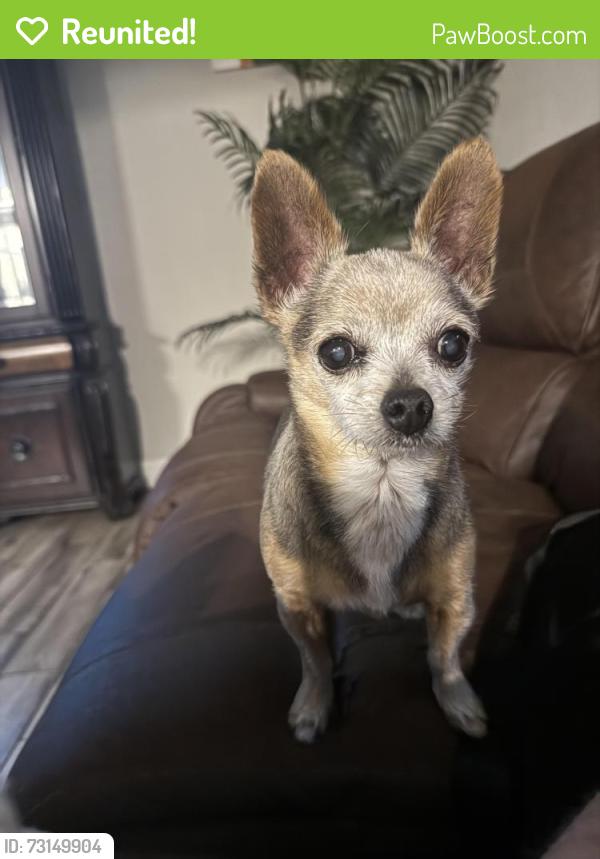 Reunited Male Dog last seen Glenn Gary road west Lakeland, Lakeland, FL 33813