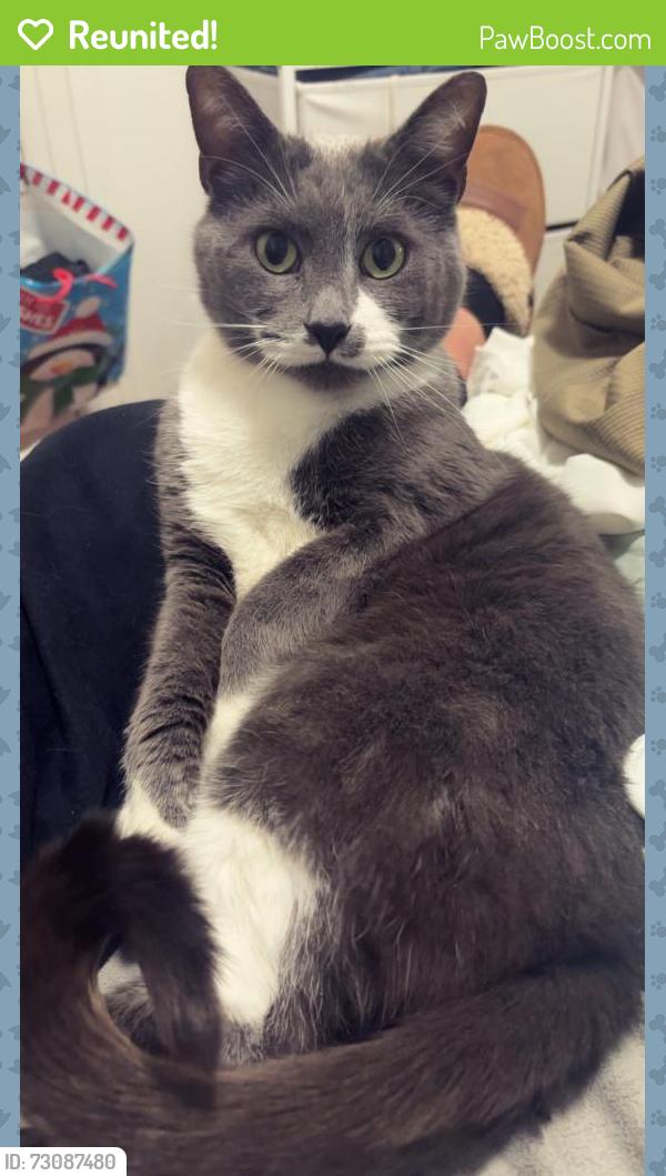 Reunited Male Cat last seen 14th and Georgia Ave, Marysville, MI 48040