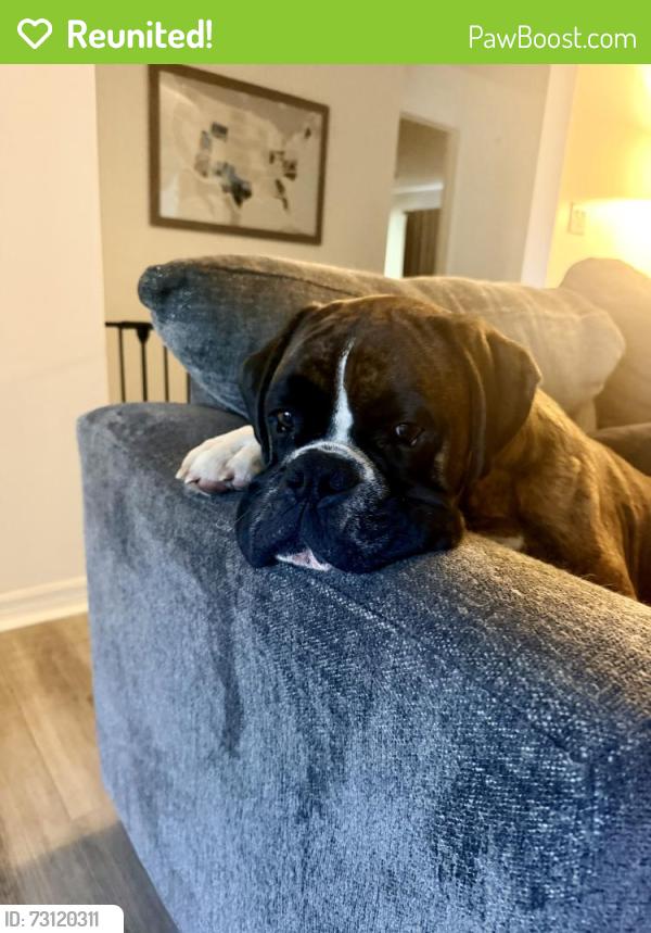 Reunited Male Dog last seen Wesley Chapel Blvd, Avalon Park, PineCrest Academy, Wesley Chapel, FL 33543