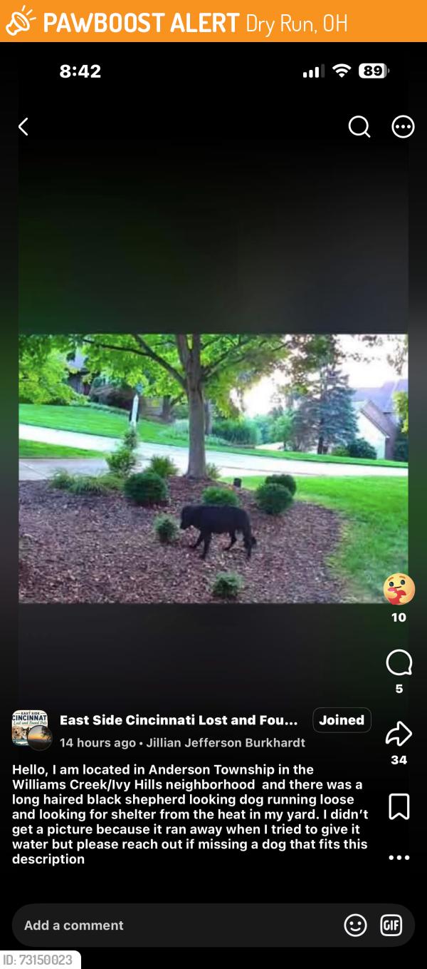 Found/Stray Unknown Dog last seen Near Williams Creek in Anderson twp, Dry Run, OH 45244