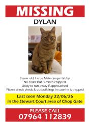 Lost Male Cat last seen Stewart Court area of Chop Gate, North York Moors, TS97JZ TS97JZ, North Yorkshire, England 