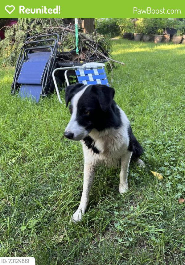 Reunited Male Dog last seen Stanton, Des Moines, IA 50321