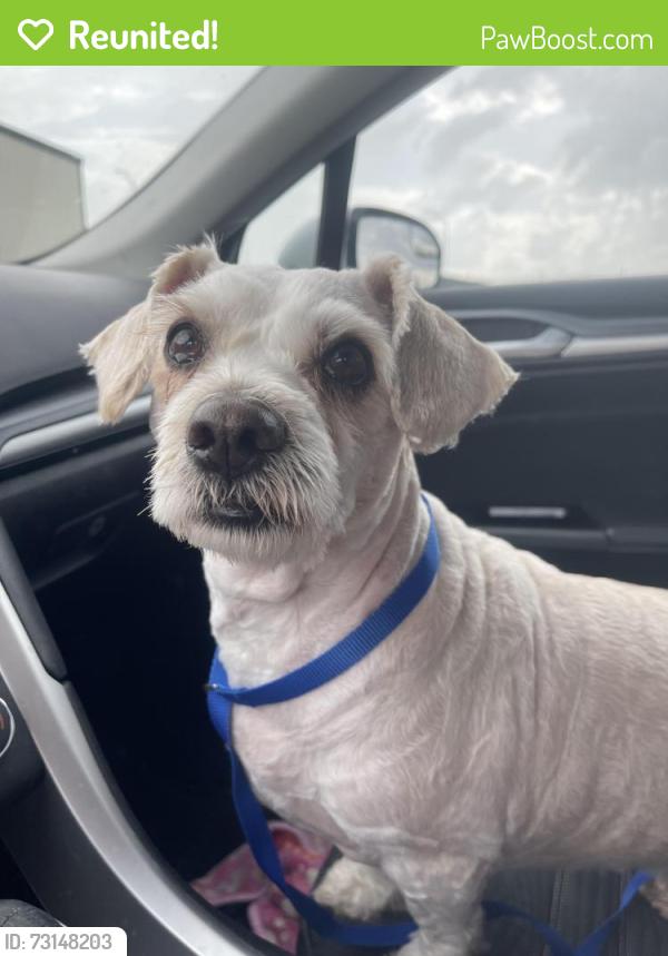 Reunited Unknown Dog last seen Near S Taylor St Gainesville, TX 76240 United States, Gainesville, TX 76240