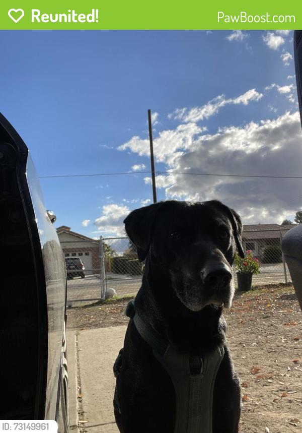 Reunited Male Dog last seen Whittier, Hemet, CA 92544