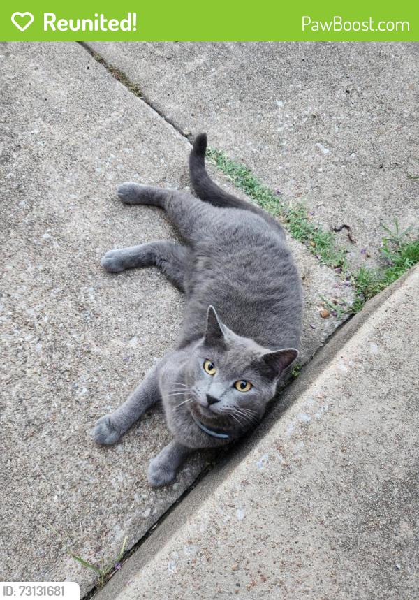 Reunited Female Cat last seen College Bound Academy, Tulsa, OK 74105