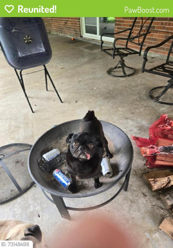 Reunited Male Dog last seen Near Inwood Dr, Baytown, TX 77521, USA, Baytown, TX 77521