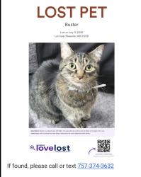 Lost Male Cat last seen Water crossing rd, Pikesville, MD 21208
