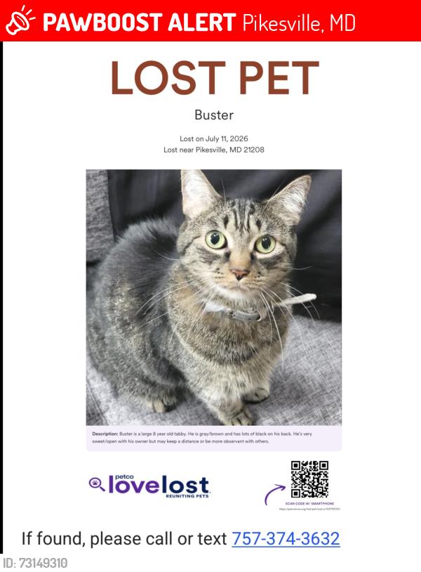 Lost Male Cat last seen Water crossing rd, Pikesville, MD 21208