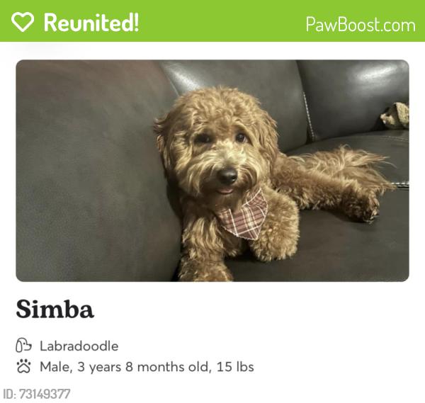 Reunited Male Dog last seen Culbreath and Eagle Bluff, Valrico, FL 33596