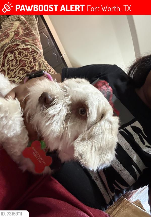 Lost Male Dog last seen Pansy Rd, Fort Worth, TX 76123