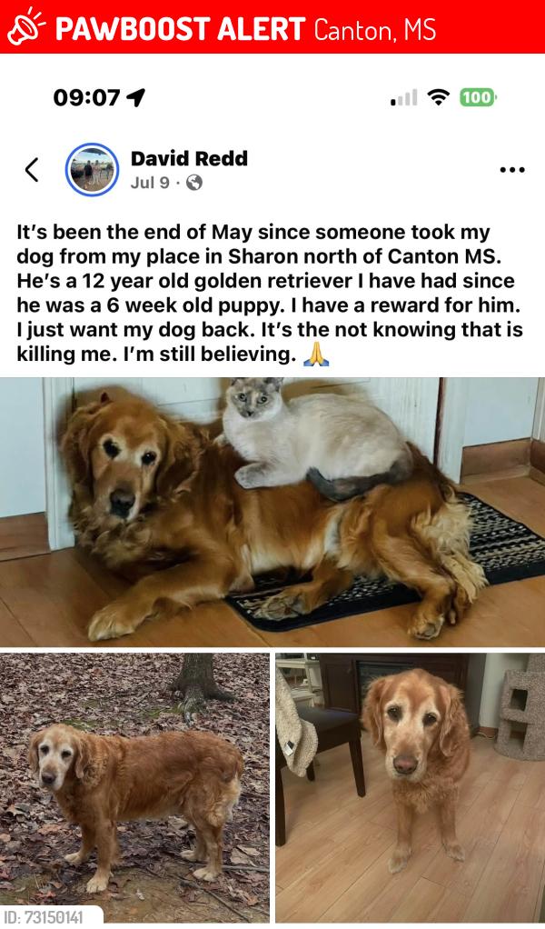 Lost Male Dog last seen Sharon/Canton MS, Canton, MS 39046