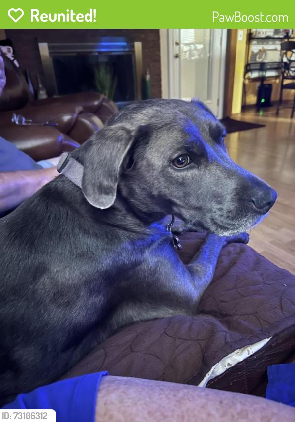 Reunited Female Dog last seen Briarwood Creek Addn - Springcreek Dr, Oklahoma City, OK 73170