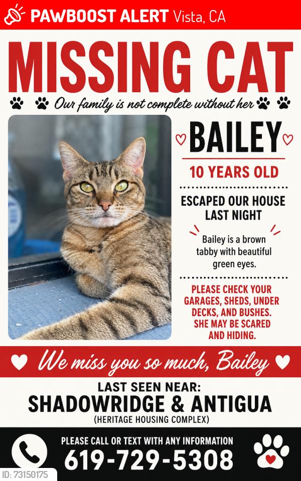 Lost Female Cat last seen She was with me in bed in middle of night and snuck out after, Vista, CA 92081