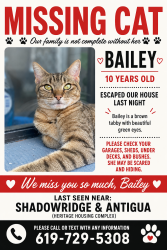 Lost Female Cat last seen She was with me in bed in middle of night and snuck out after, Vista, CA 92081