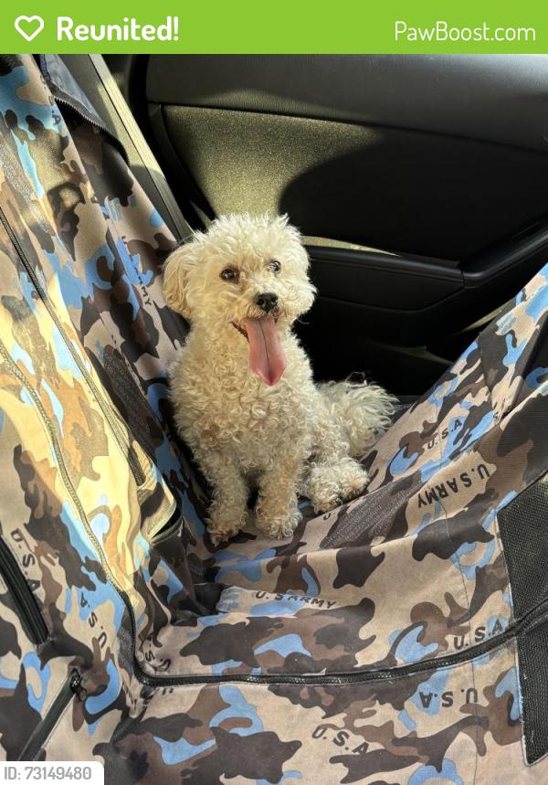 Reunited Male Dog last seen Town Center and Hualapai, Las Vegas, NV 89135