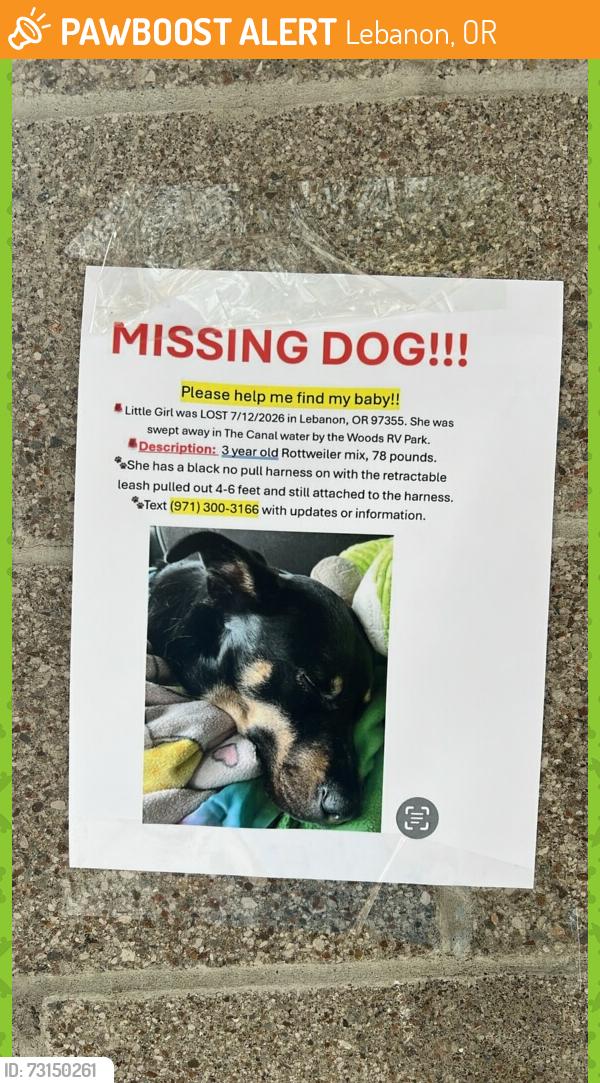 Found/Stray Female Dog last seen The Woods RV Park, Lebanon, OR 97355
