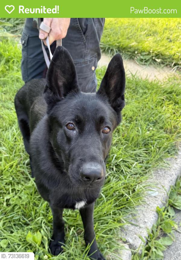 Reunited Female Dog last seen Fairmount park, Philadelphia, PA 19119