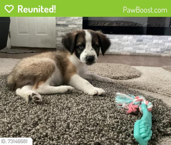 Reunited Female Dog last seen The caldwell zoo, Tyler, TX 75702