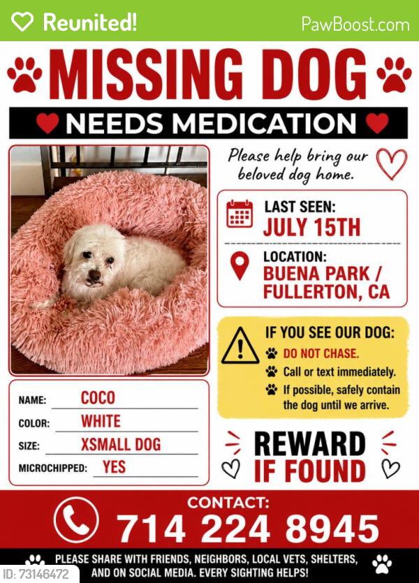 Reunited Female Dog last seen Near S Meade Ave, Fullerton, CA 92833, USA, Fullerton, CA 92833