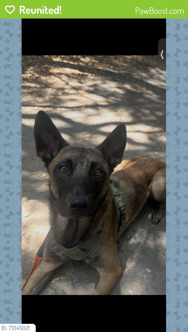 Reunited Male Dog last seen Woodland dr, Sierra Madre, CA 91024