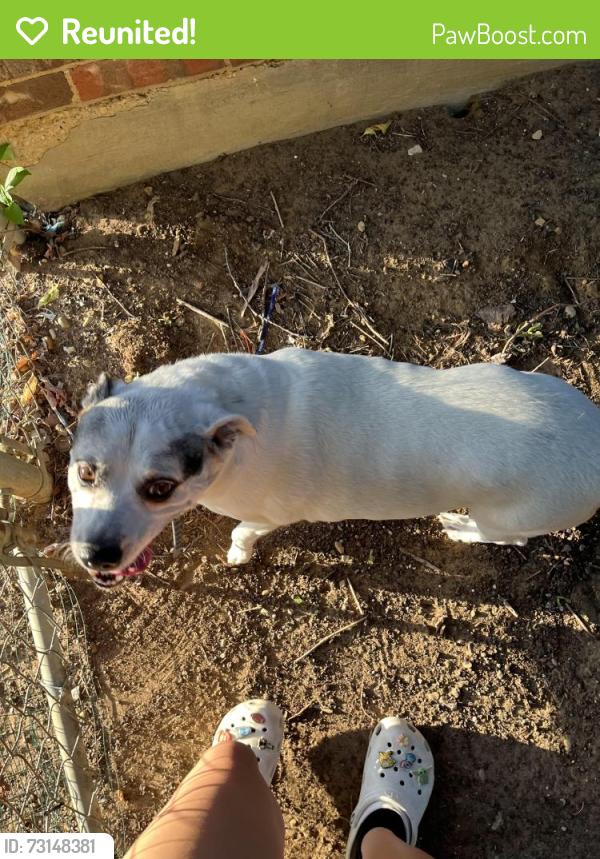 Reunited Male Dog last seen Fox ave and Valley, Lewisville, TX 75067