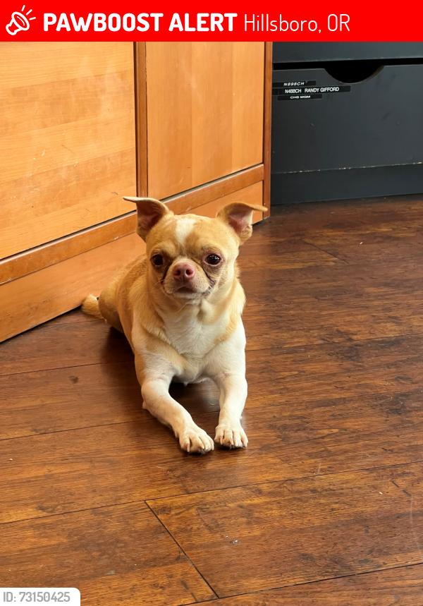 Lost Male Dog last seen hillsboro airport, Hillsboro, OR 97124