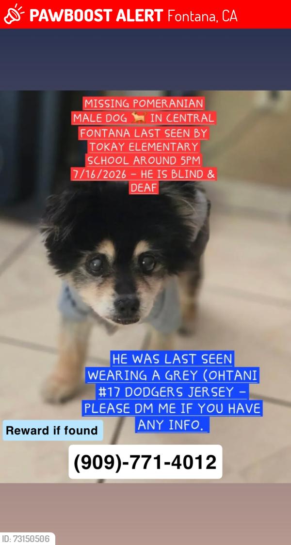 Lost Male Dog last seen Tokay ave and Barbee st, Fontana, CA 92335
