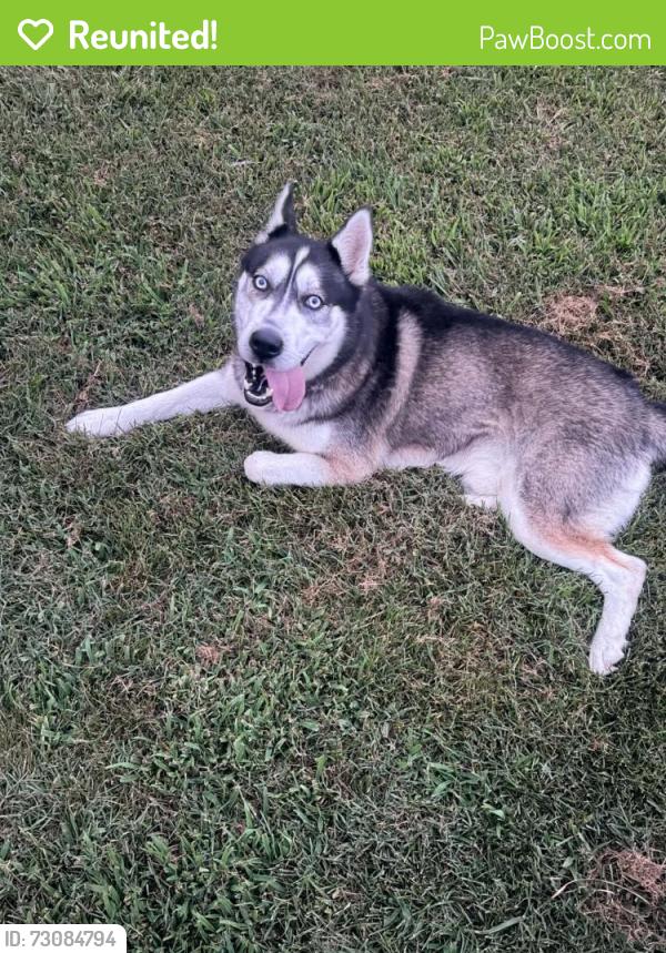 Reunited Male Dog last seen Near little bartons creek rd water shied Baptist church, Cumberland Furnace, TN 37051