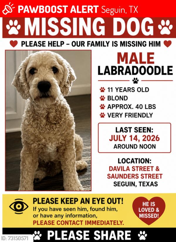 Lost Male Dog last seen Davila street, Seguin, TX 78155