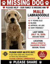 Lost Male Dog last seen Davila street, Seguin, TX 78155