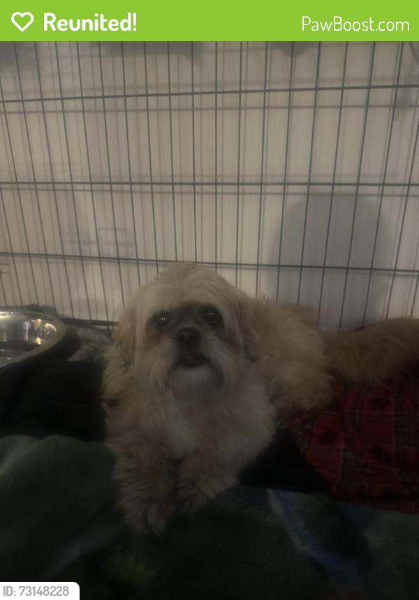 Reunited Female Dog last seen E Galena Blvd, Aurora, IL, USA, Aurora, IL 60505