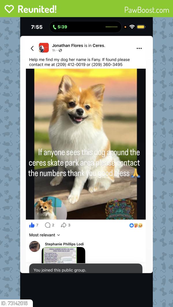 Reunited Female Dog last seen Near Fowler Rd Ceres, CA 95307 United States, Ceres, CA 95307