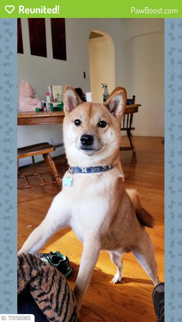 Reunited Male Dog last seen Last seen around Warren Rd, Ann Arbor, Ann Arbor, MI 48187