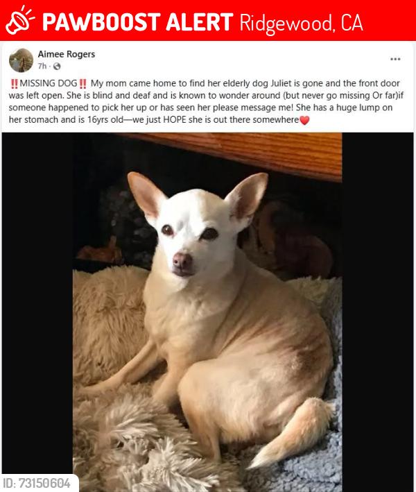Lost Female Dog last seen Home Drive, Ridgewood, CA 95503