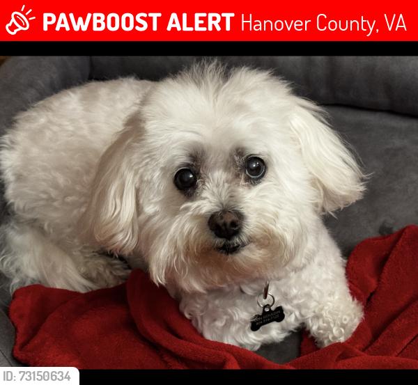 Lost Female Dog last seen Sunmark Dr and Armstrong Dr, Hanover County, VA 23111