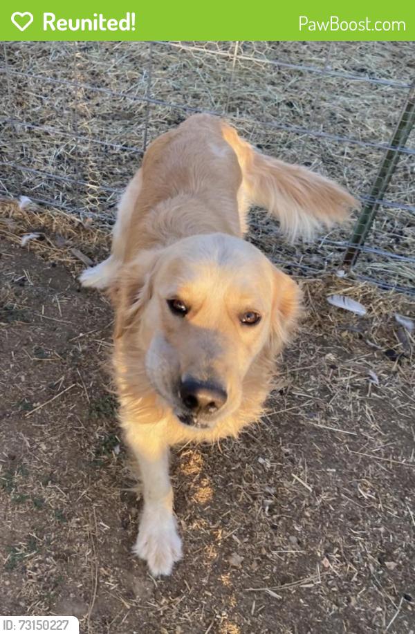 Reunited Male Dog last seen Gregory and Highway 1, Fort Collins, CO 80524