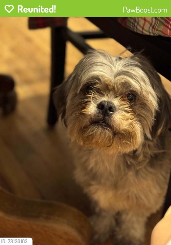 Reunited Male Dog last seen Riverbend road bryson city road, Franklin, NC 28734
