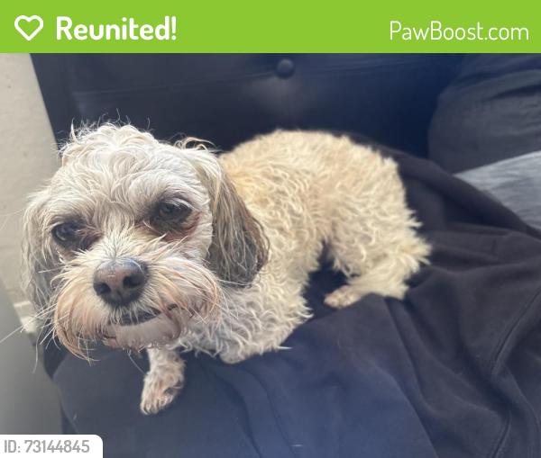 Reunited Male Dog last seen Florida ave & 2nd st, Richmond, CA 94804