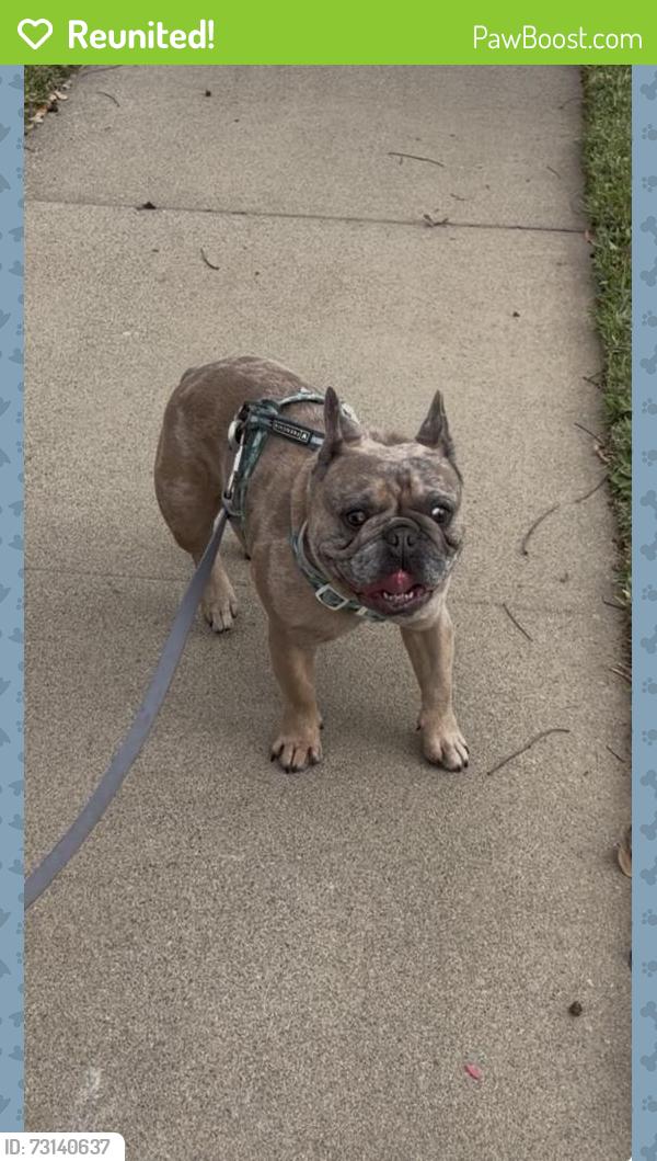 Reunited Male Dog last seen Victoria and Andruss pl, Montebello, CA 90640