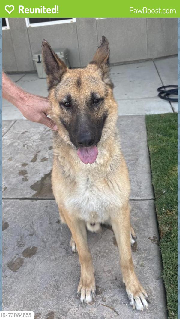 Reunited Male Dog last seen W Figarden Dr & Sierra, Fresno, CA 93722