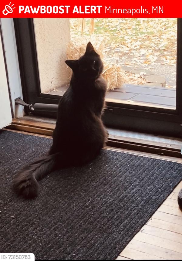 Lost Female Cat last seen Welcome Park, Minneapolis, MN 55422