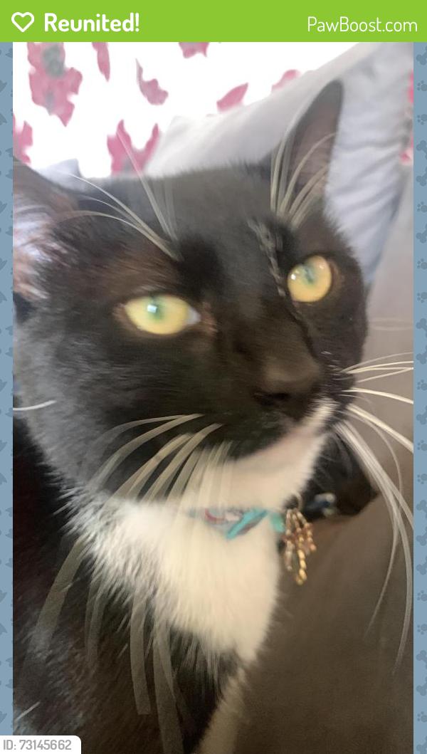 Reunited Male Cat last seen Trinaty hospice, Blackpool, England 