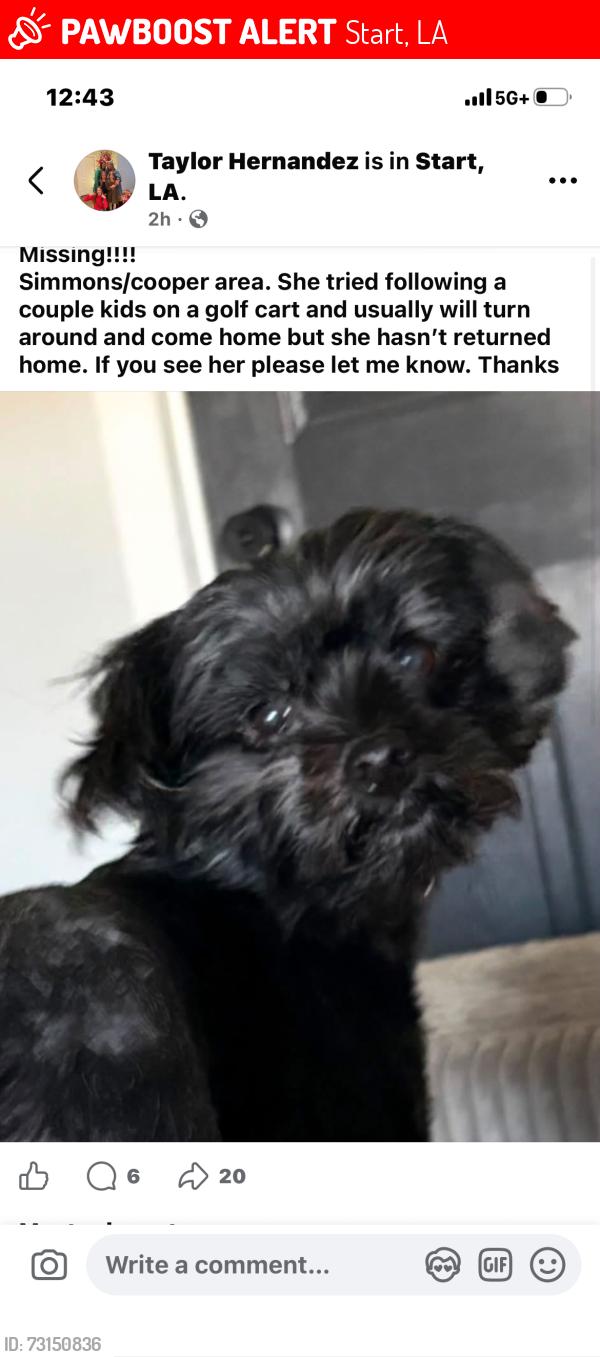 Lost Female Dog last seen Start exit off the interstate, Start, LA 71279