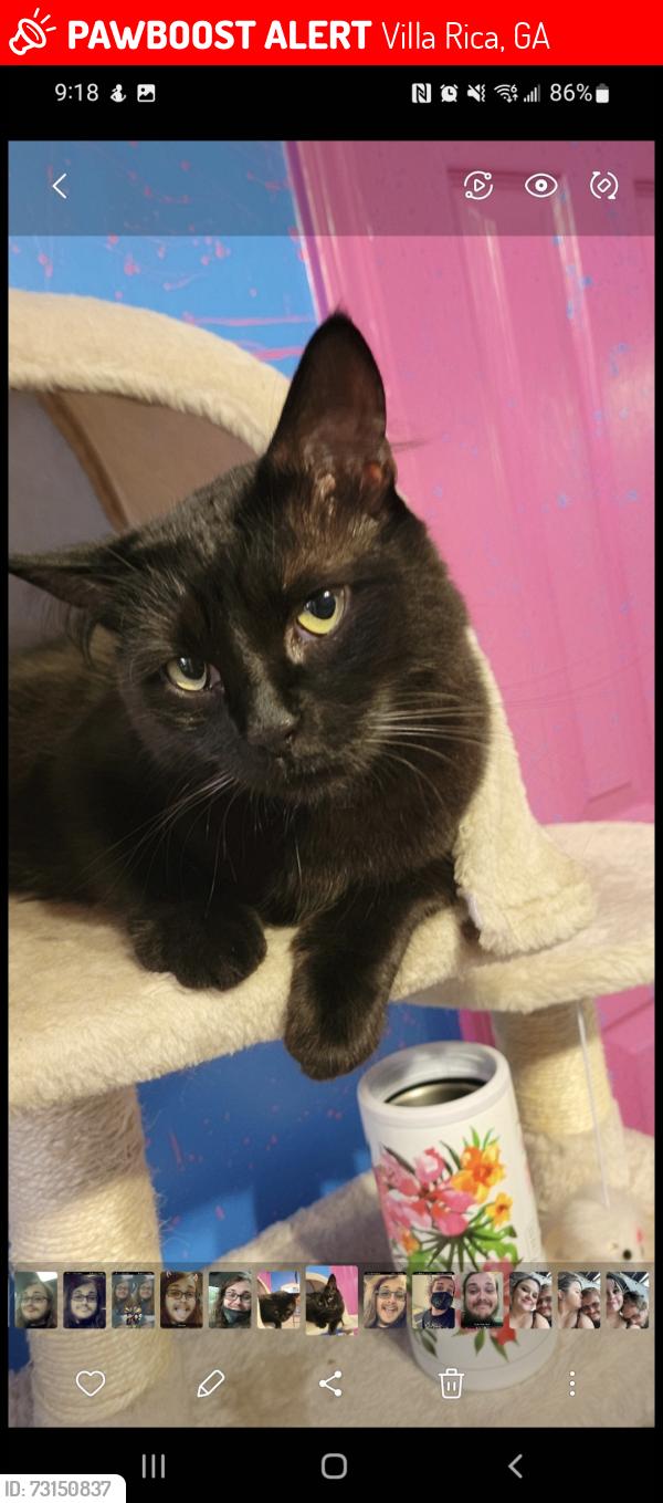 Lost Male Cat last seen Ashley highlands subdivision, Villa Rica, GA 30180