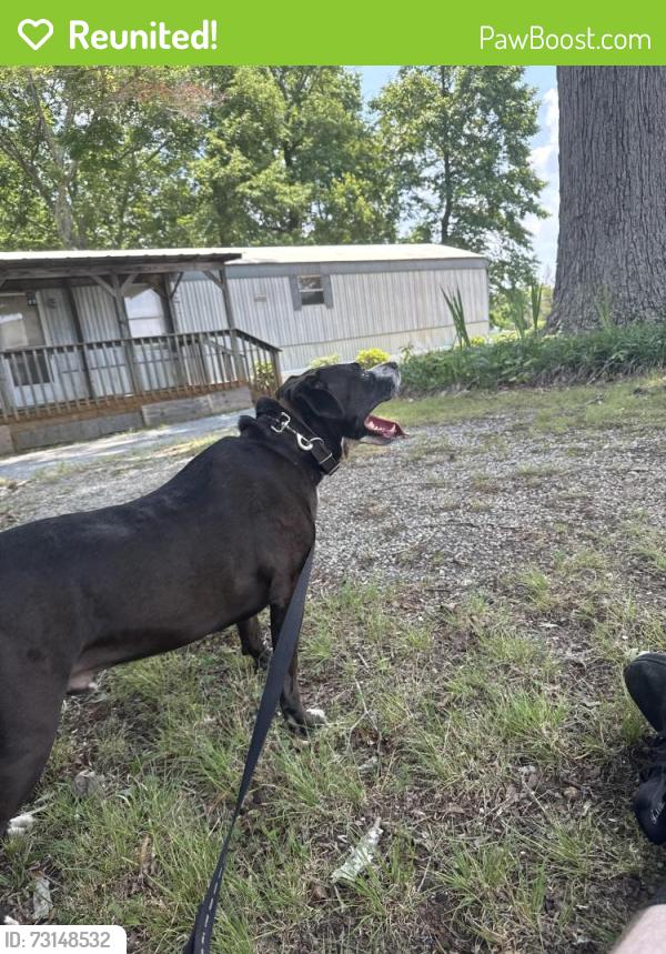 Reunited Male Dog last seen Near Woodfield Dr, Randolph County, NC 27350