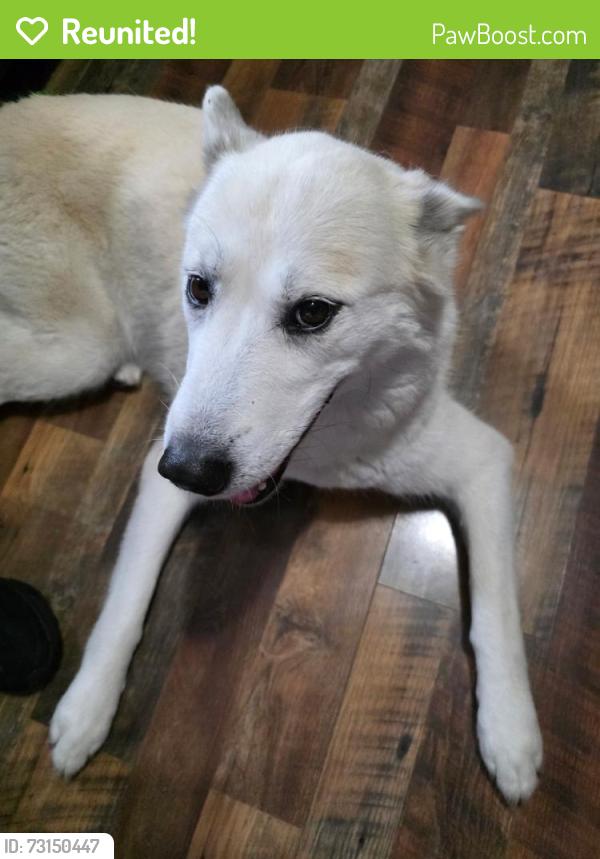 Reunited Female Dog last seen 47th Street S and Hydraulic, Wichita, KS 67216