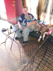 Lost Male Dog last seen Near highway 1 Patrick sc 29584, Chesterfield County, SC 29584