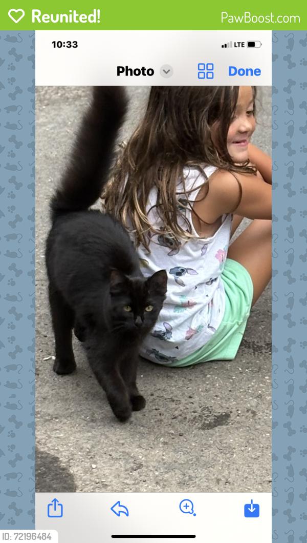 Reunited Female Cat last seen Near Zane Ave N 55422, Minneapolis, MN 55422