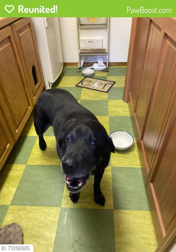 Reunited Male Dog last seen Near and Music Camp, Sandy, OR 97055