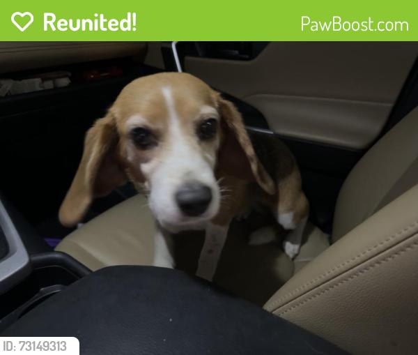 Reunited Unknown Dog last seen Near Ramsey St, Linden, NC 28356, USA, Linden, NC 28356